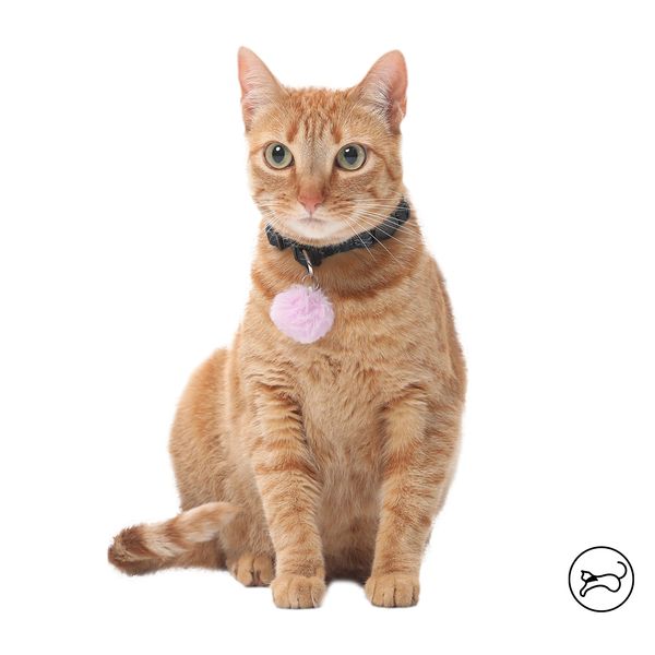 Collar Para Gato Michi Negro U