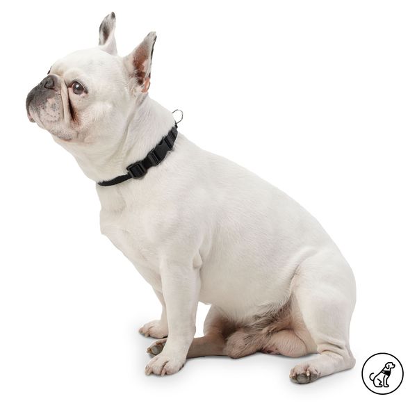 Collar ajustable para Perro Mylu Negro XS