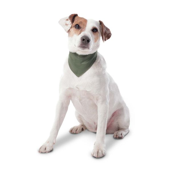 Pañoleta para mascota Menta Doble Faz 2.0 Negro S