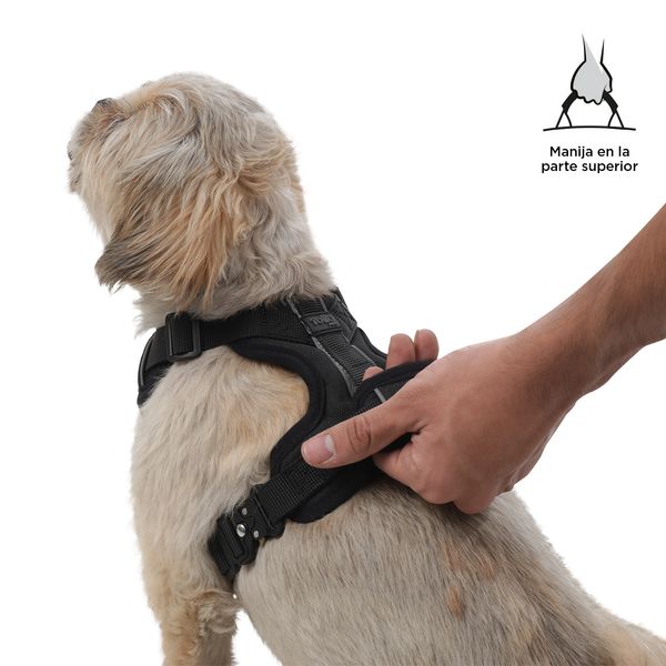Arnés para mascotas