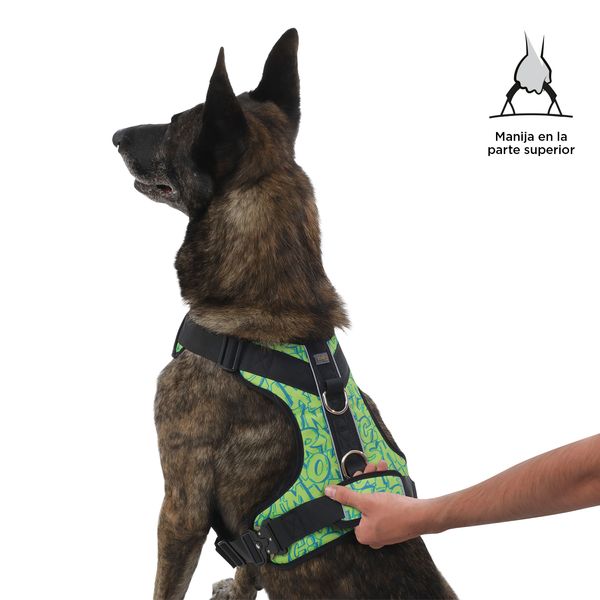 Arnés para mascotas