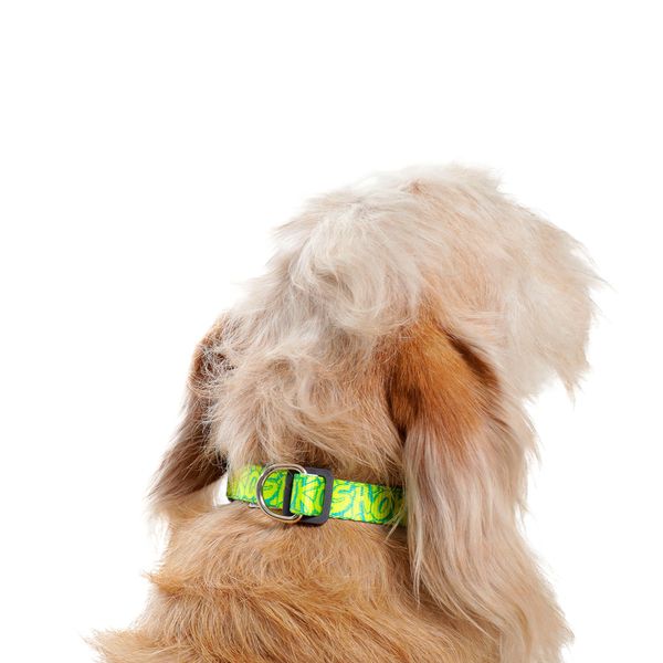 PDCLAJ1002-241-2ANS-Pendiente-seo